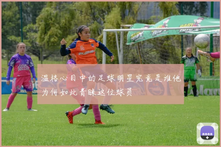温格心目中的足球明星究竟是谁他为何如此青睐这位球员