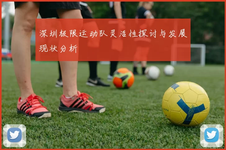 深圳极限运动队灵活性探讨与发展现状分析