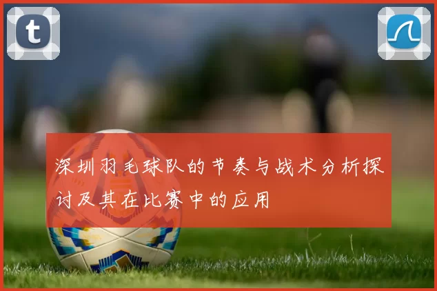 深圳羽毛球队的节奏与战术分析探讨及其在比赛中的应用