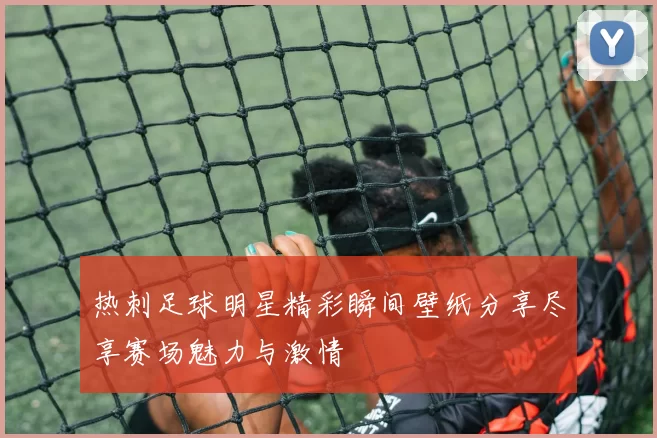 热刺足球明星精彩瞬间壁纸分享尽享赛场魅力与激情
