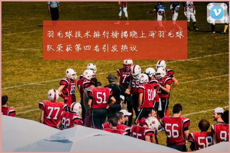 羽毛球技术排行榜揭晓上海羽毛球队荣获第四名引发热议