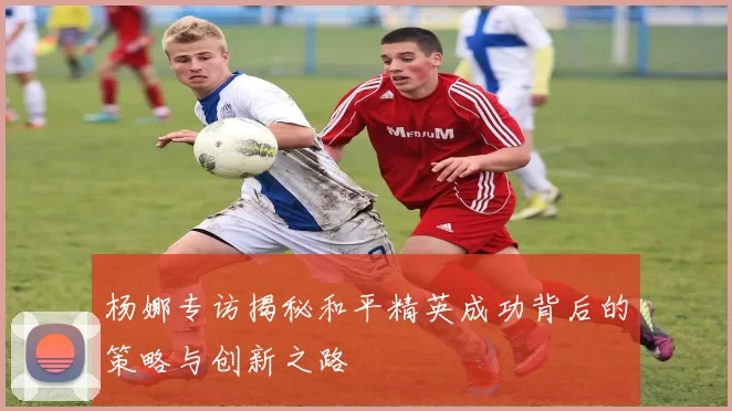 杨娜专访揭秘和平精英成功背后的策略与创新之路