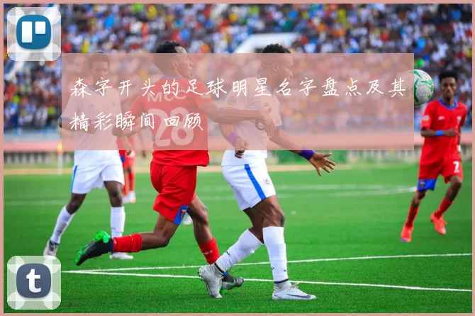 森字开头的足球明星名字盘点及其精彩瞬间回顾