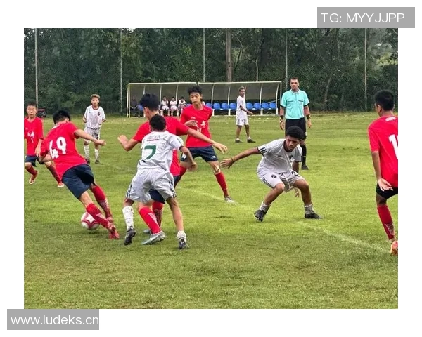 成都足球队个人能力提升引发热议助力球队崛起与发展