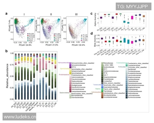 武汉网球队技术表现分析及其对比赛成绩的影响研究